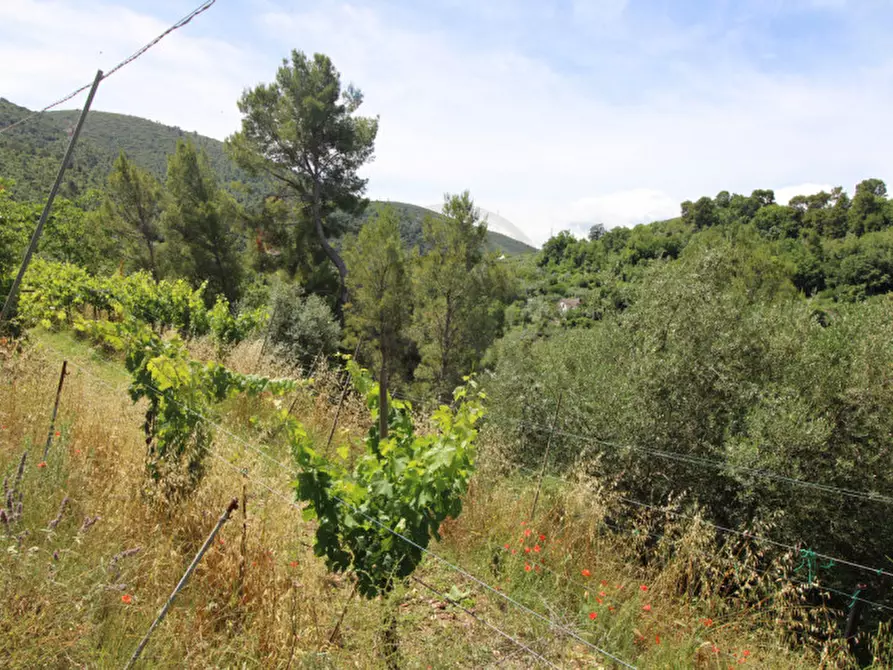 Immagine 11 di Terreno in vendita  in larviano a Terni