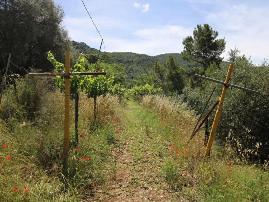Immagine 12 di Terreno in vendita  in larviano a Terni