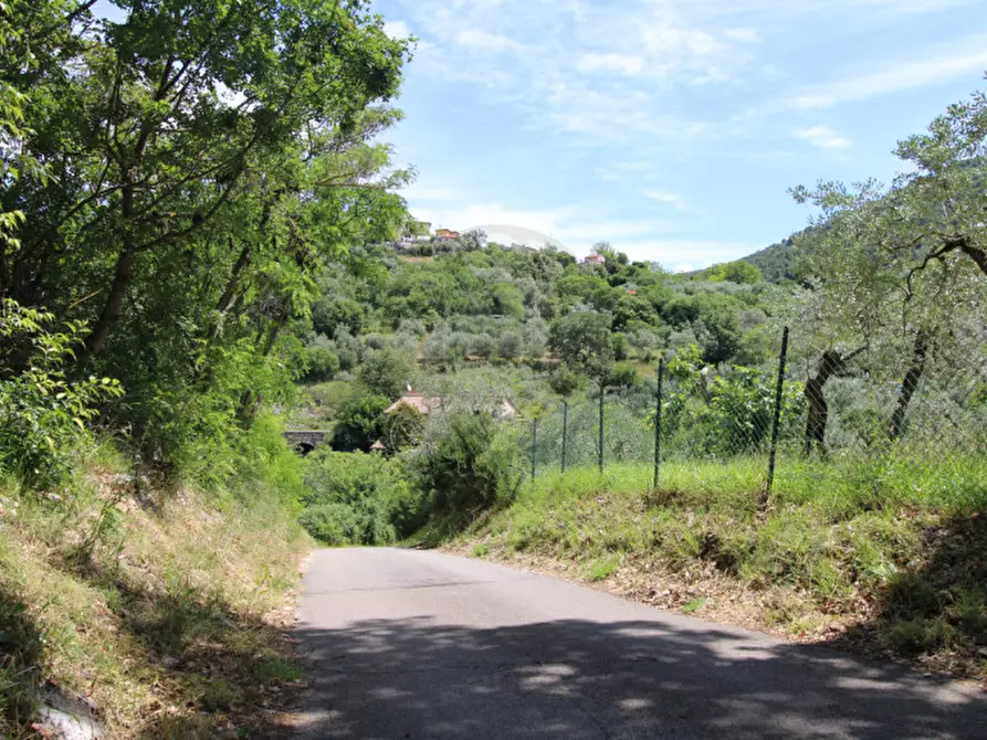Immagine 13 di Terreno in vendita  in larviano a Terni