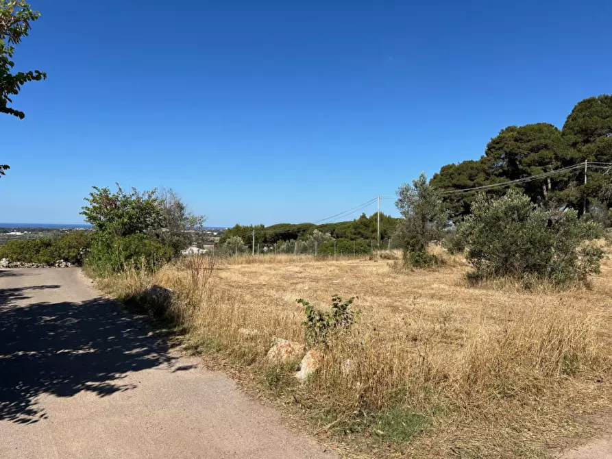 Immagine 1 di Terreno in vendita  in Corso Cesare Vergine a Tuglie