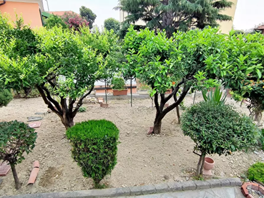 Immagine 7 di Villa in vendita  in Via Giovanni Borea a San Remo