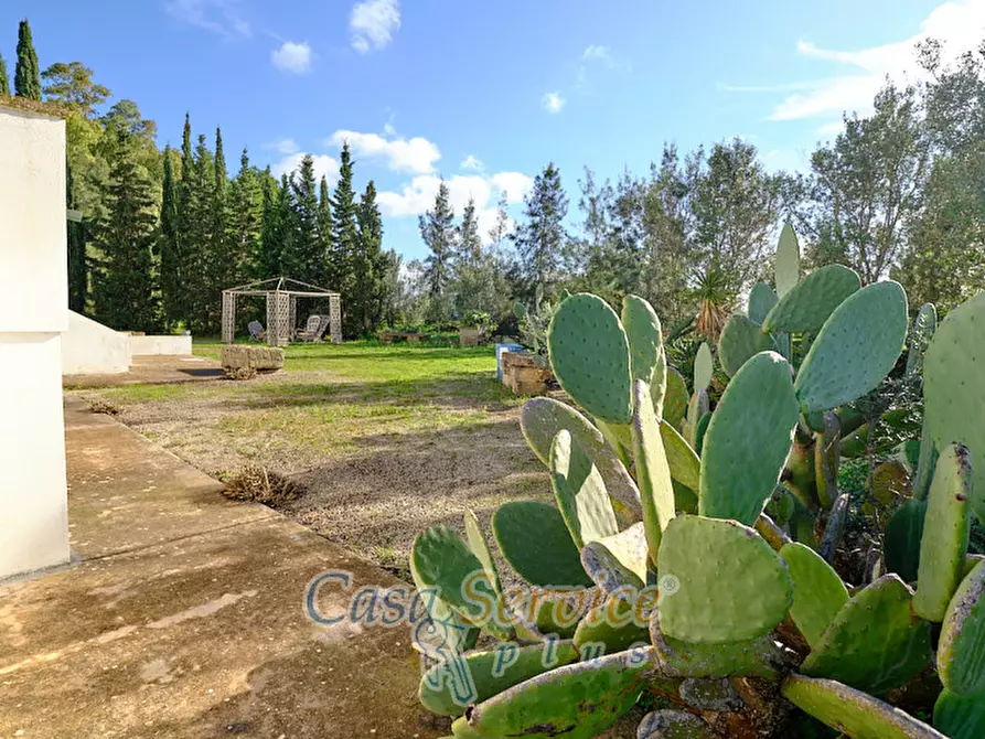 Immagine 7 di Bed & Breakfast in vendita  in Via Lizza a Alezio