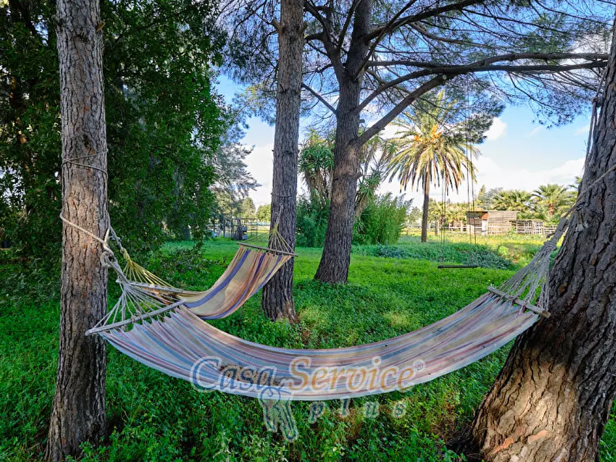 Immagine 12 di Bed & Breakfast in vendita  in Via Lizza a Alezio