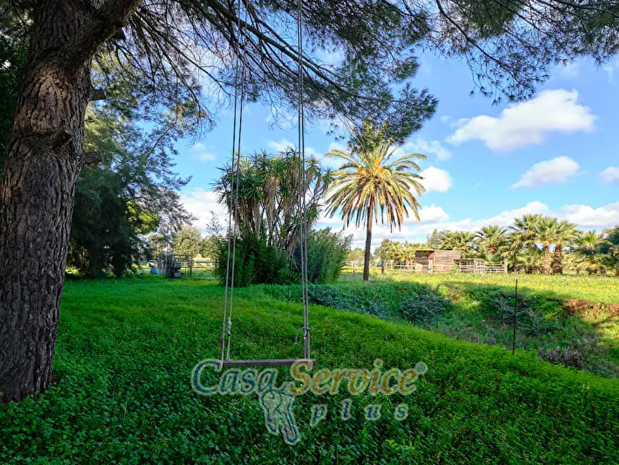 Immagine 13 di Bed & Breakfast in vendita  in Via Lizza a Alezio