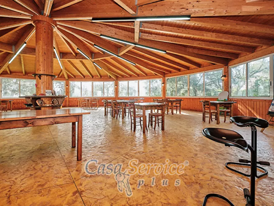 Immagine 36 di Bed & Breakfast in vendita  in Via Lizza a Alezio