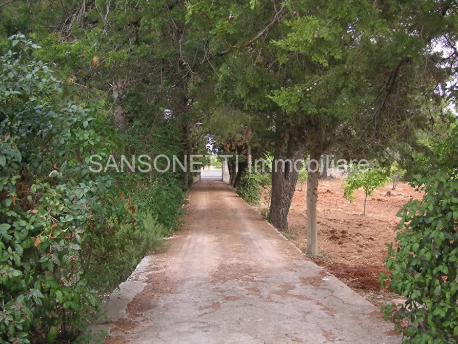 Immagine 37 di Rustico / casale in vendita  in Ulmo a Ceglie Messapico