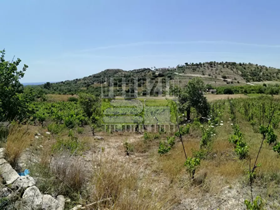 Immagine 1 di Terreno in vendita  in Bochini a Avola
