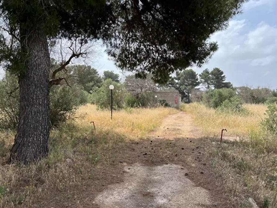 Immagine 1 di Terreno in vendita  in Via Vicinale Pigno a Matino