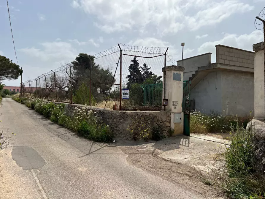 Immagine 3 di Terreno in vendita  in Via Vicinale Pigno a Matino