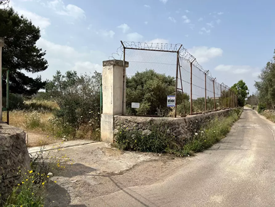 Immagine 4 di Terreno in vendita  in Via Vicinale Pigno a Matino