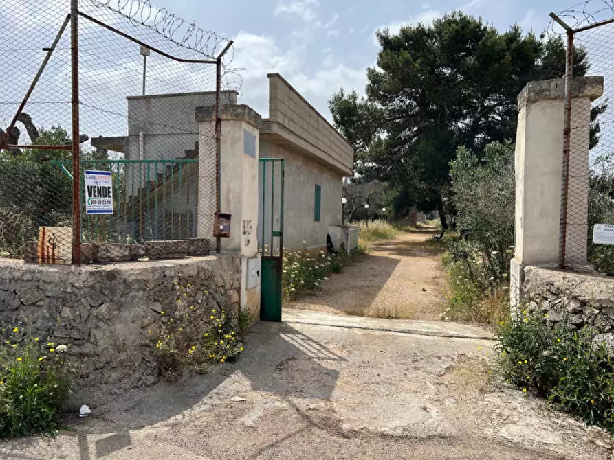 Immagine 5 di Terreno in vendita  in Via Vicinale Pigno a Matino