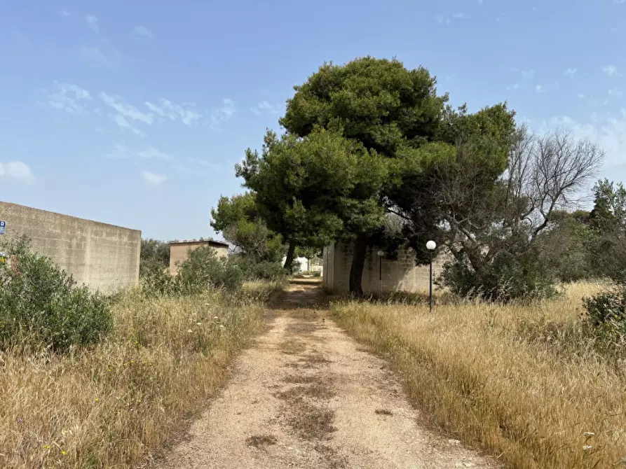 Immagine 8 di Terreno in vendita  in Via Vicinale Pigno a Matino