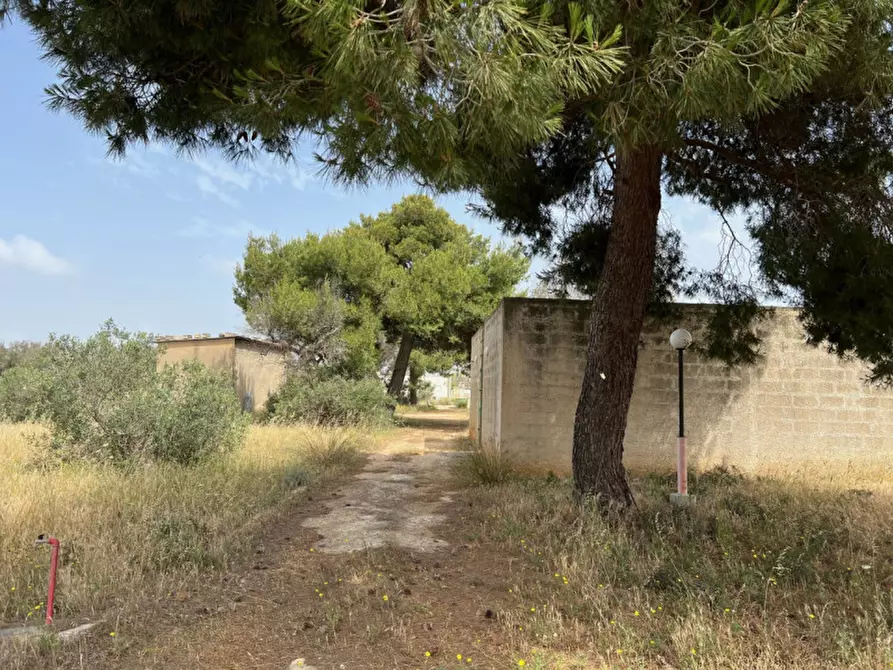 Immagine 10 di Terreno in vendita  in Via Vicinale Pigno a Matino