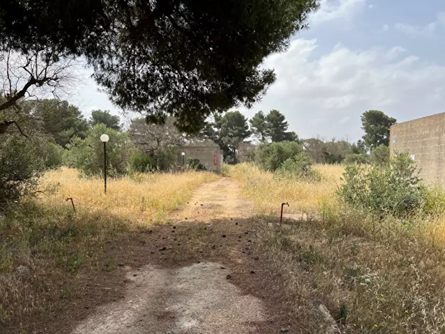 Immagine 13 di Terreno in vendita  in Via Vicinale Pigno a Matino