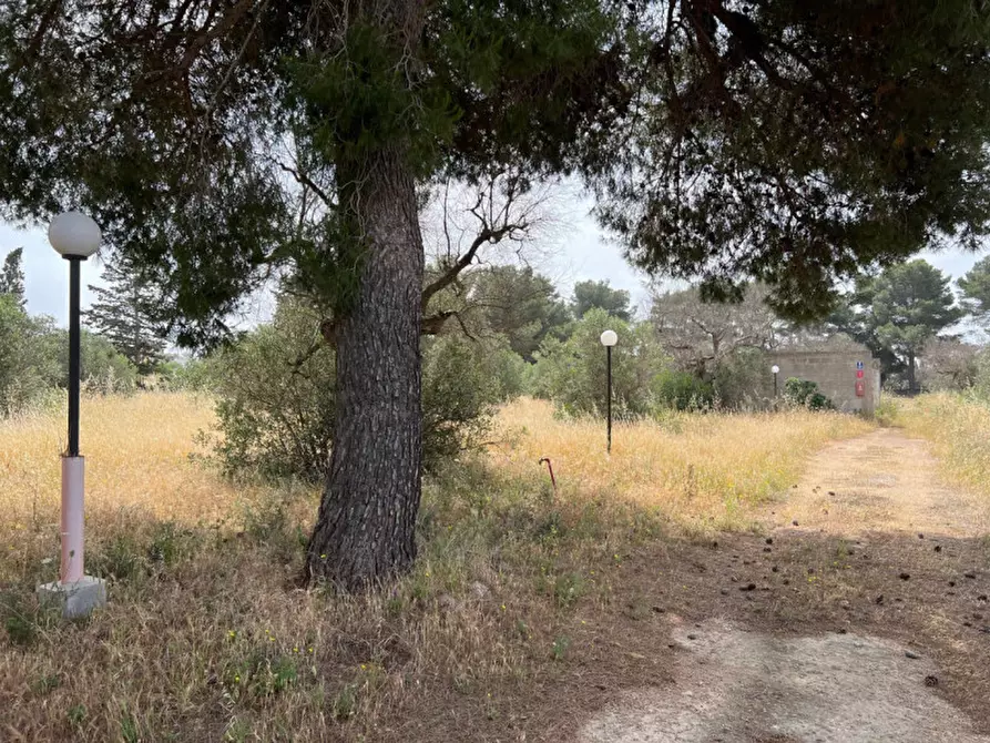 Immagine 16 di Terreno in vendita  in Via Vicinale Pigno a Matino