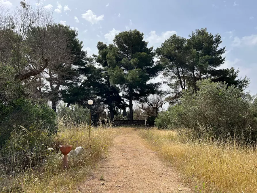 Immagine 17 di Terreno in vendita  in Via Vicinale Pigno a Matino