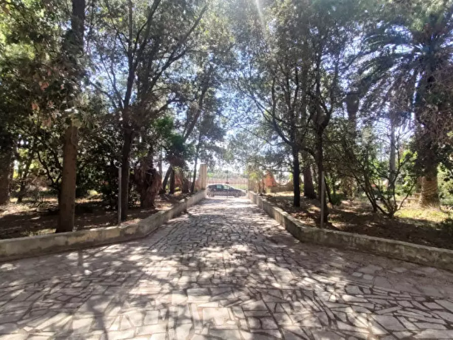 Immagine 6 di Villa in vendita  in SP 223 a Matino