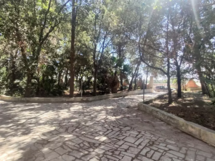 Immagine 7 di Villa in vendita  in SP 223 a Matino