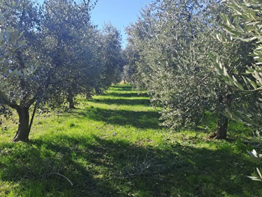 Immagine 1 di Terreno in vendita  in via capra a Polpenazze Del Garda