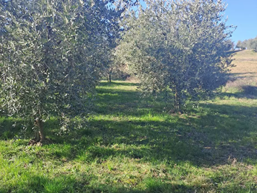 Immagine 1 di Terreno in vendita  in via capra a Polpenazze Del Garda