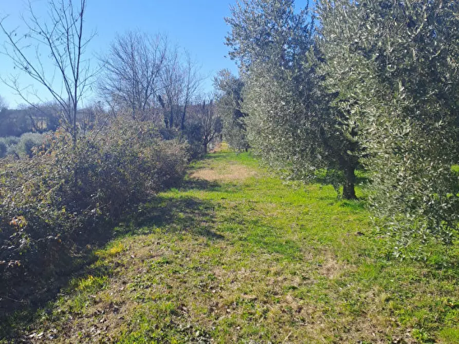 Immagine 4 di Terreno in vendita  in via capra a Polpenazze Del Garda