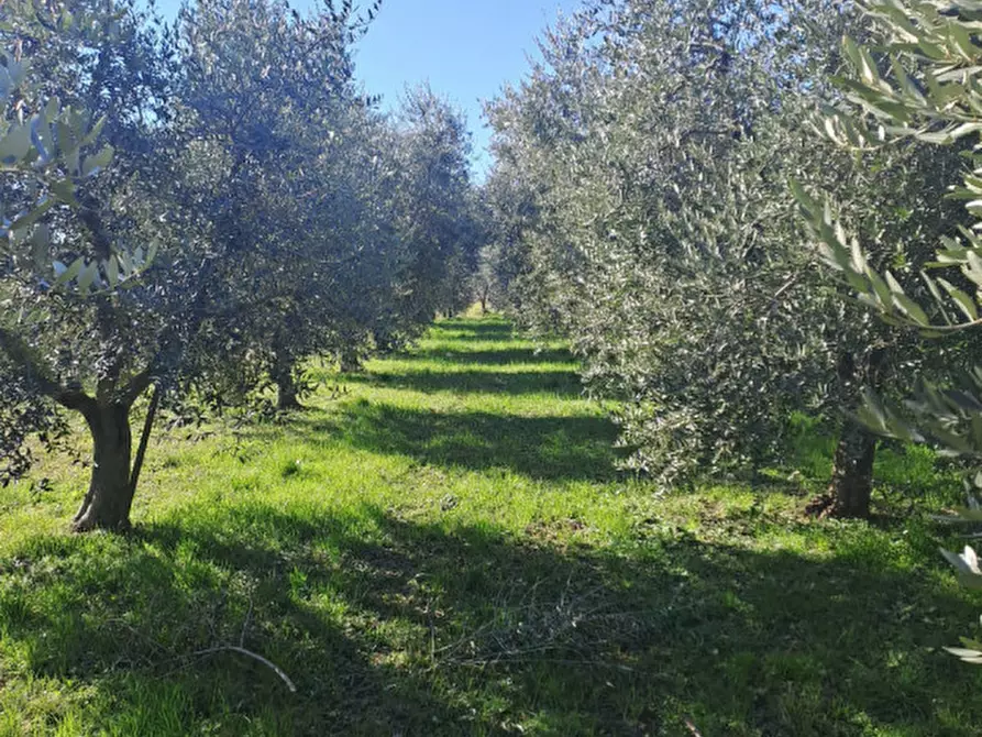 Immagine 5 di Terreno in vendita  in via capra a Polpenazze Del Garda