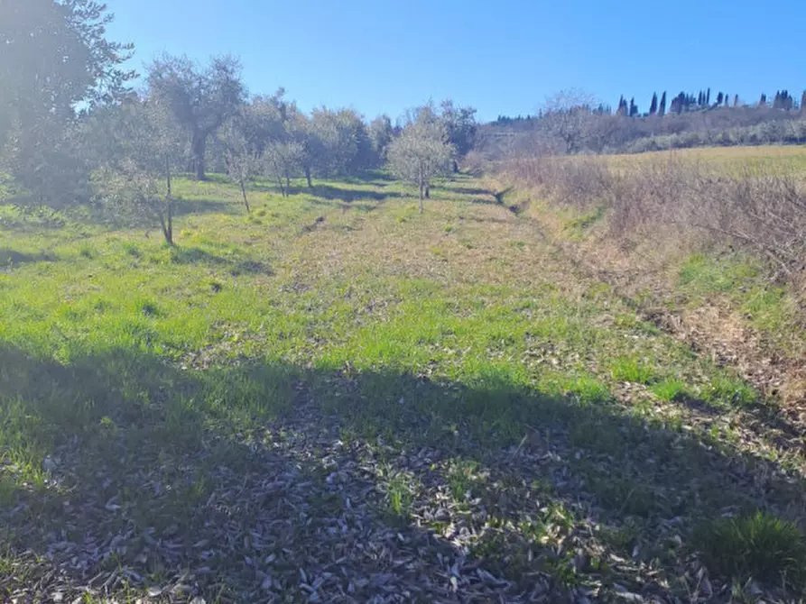 Immagine 6 di Terreno in vendita  in via capra a Polpenazze Del Garda