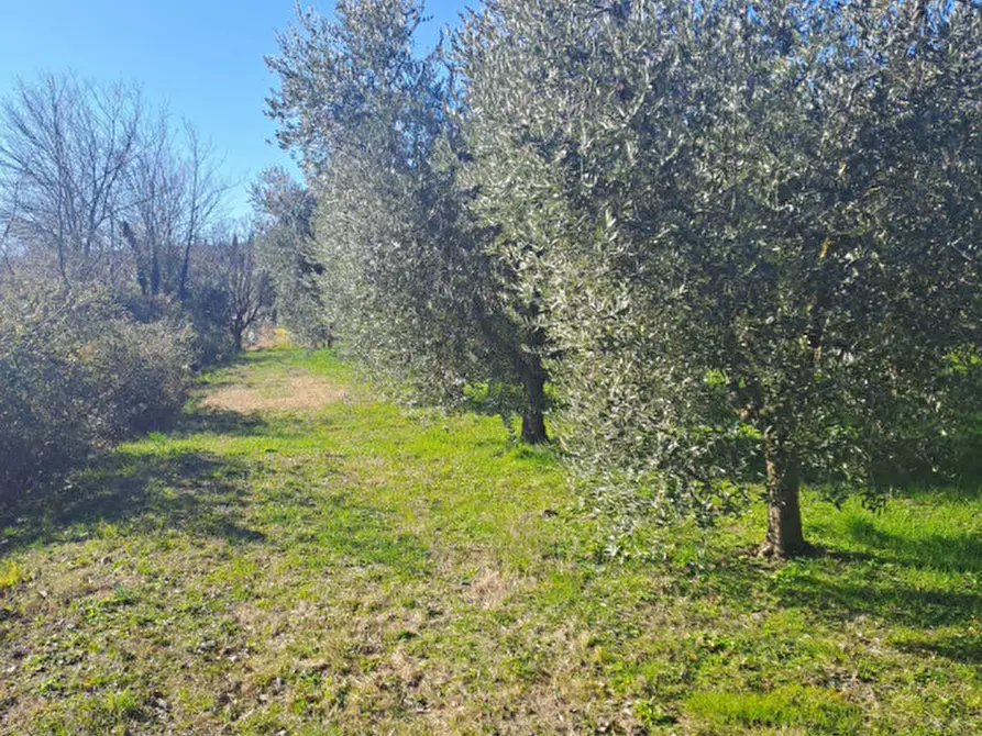 Immagine 7 di Terreno in vendita  in via capra a Polpenazze Del Garda
