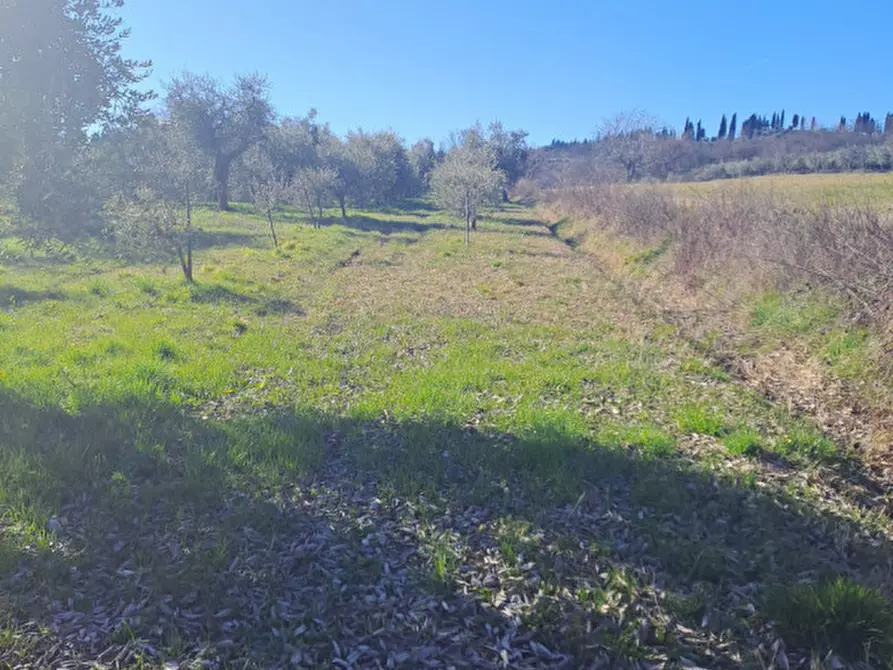 Immagine 8 di Terreno in vendita  in via capra a Polpenazze Del Garda