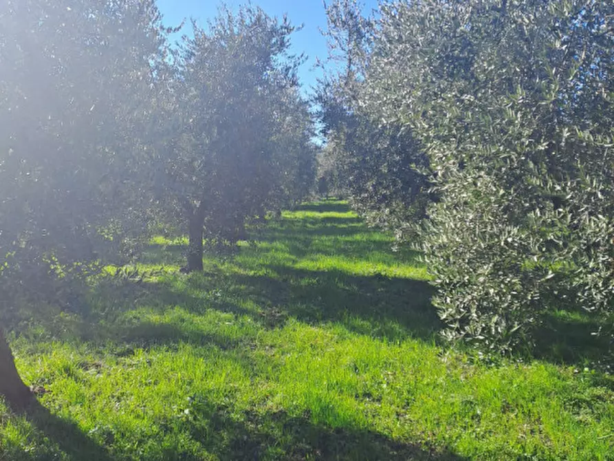 Immagine 9 di Terreno in vendita  in via capra a Polpenazze Del Garda