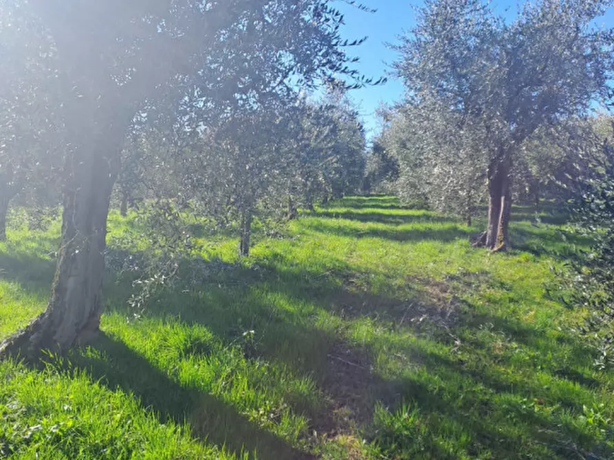 Immagine 10 di Terreno in vendita  in via capra a Polpenazze Del Garda
