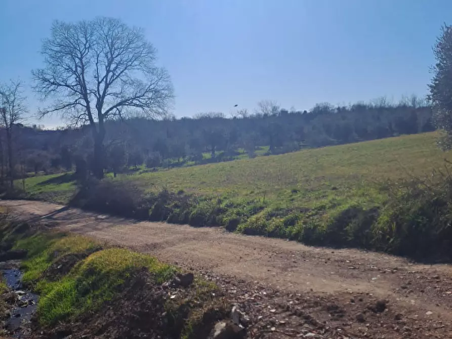 Immagine 11 di Terreno in vendita  in via capra a Polpenazze Del Garda