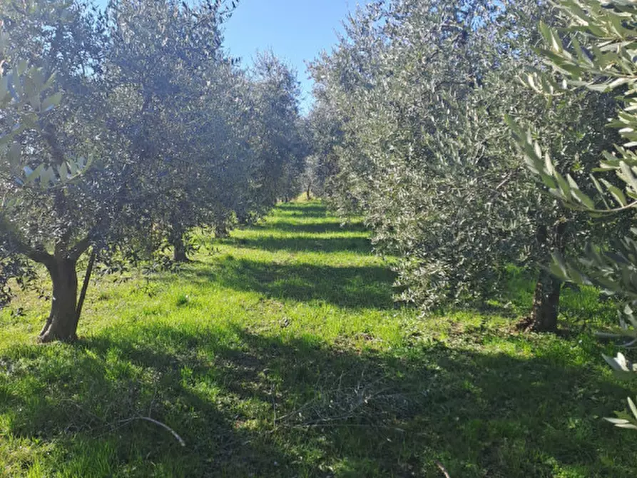 Immagine 12 di Terreno in vendita  in via capra a Polpenazze Del Garda