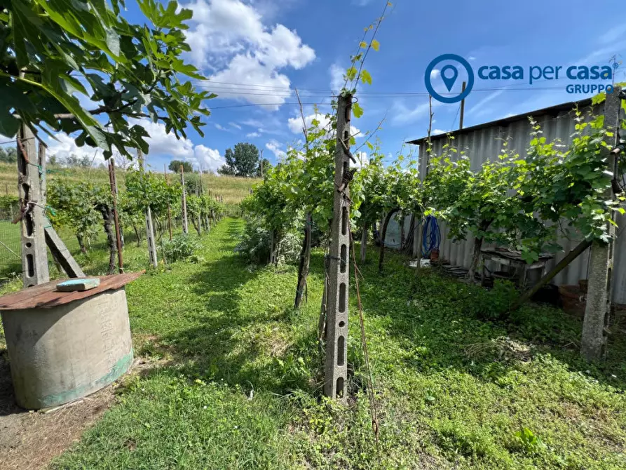 Immagine 22 di Villetta a schiera in vendita  in Canalnovo, Via Abbazia a Villanova Marchesana