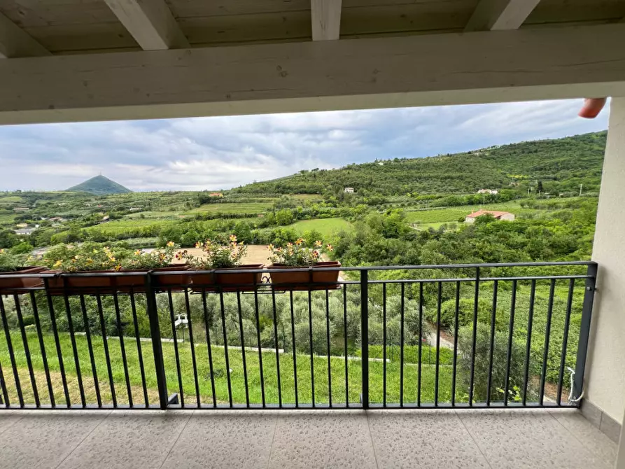 Immagine 1 di Villa in vendita  a Arqua' Petrarca