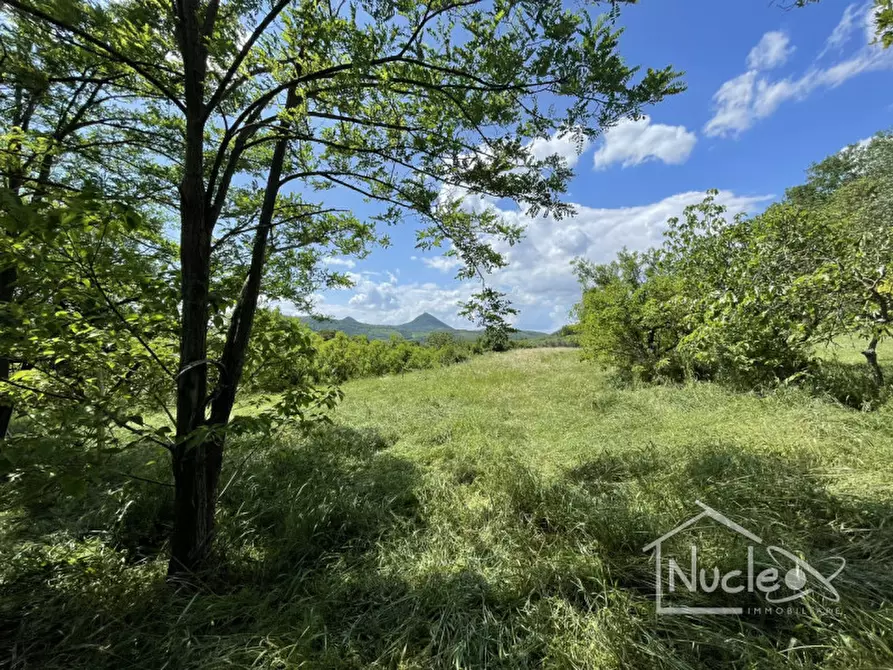 Immagine 3 di Terreno in vendita  a Monselice
