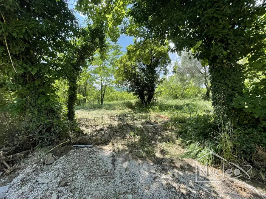 Immagine 5 di Terreno in vendita  a Monselice
