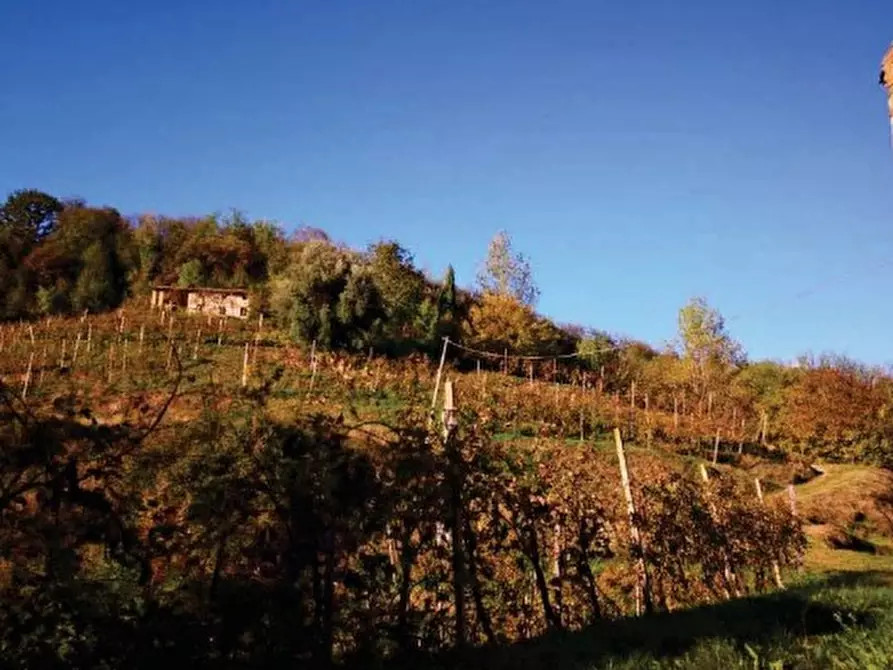 Immagine 3 di Terreno in vendita  in Via Mire Alte a Refrontolo