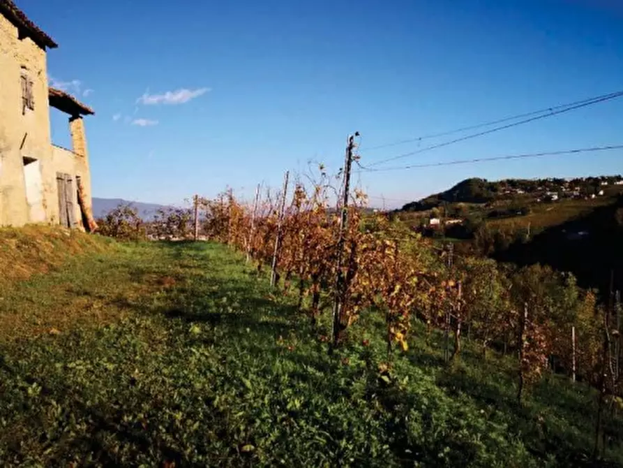 Immagine 6 di Terreno in vendita  in Via Mire Alte a Refrontolo
