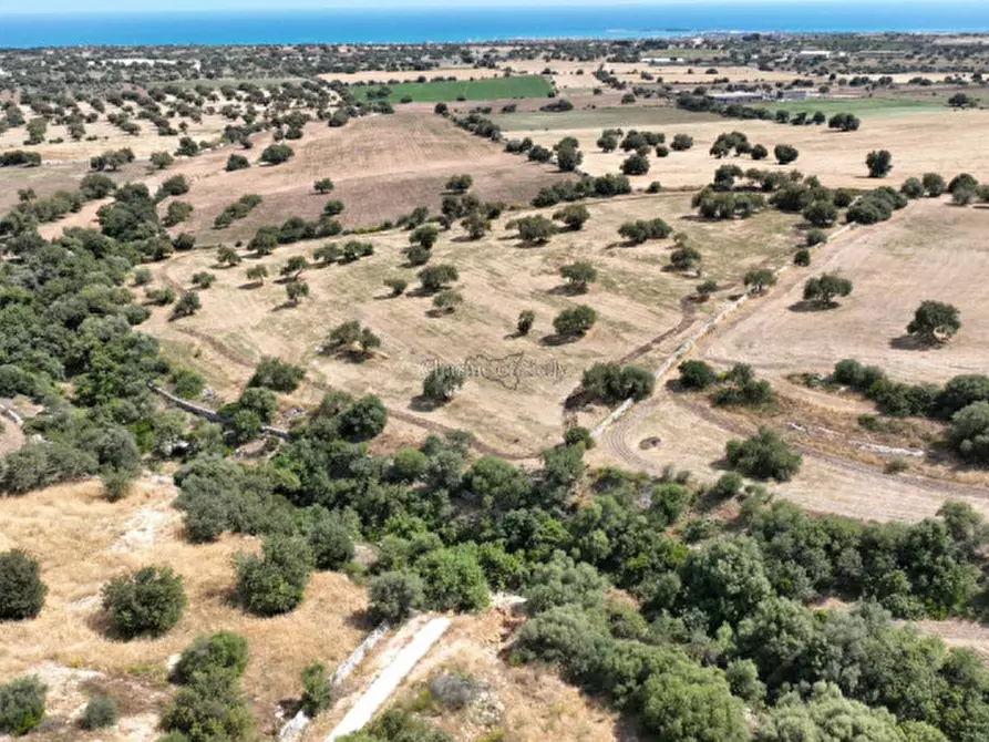 Immagine 4 di Terreno in vendita  in Contrada scorrione a Modica