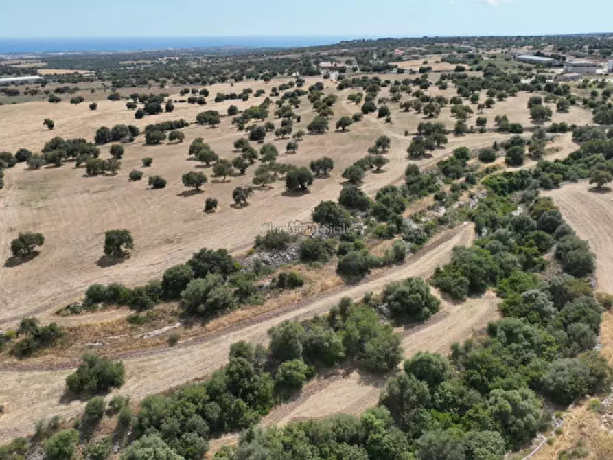Immagine 6 di Terreno in vendita  in Contrada scorrione a Modica