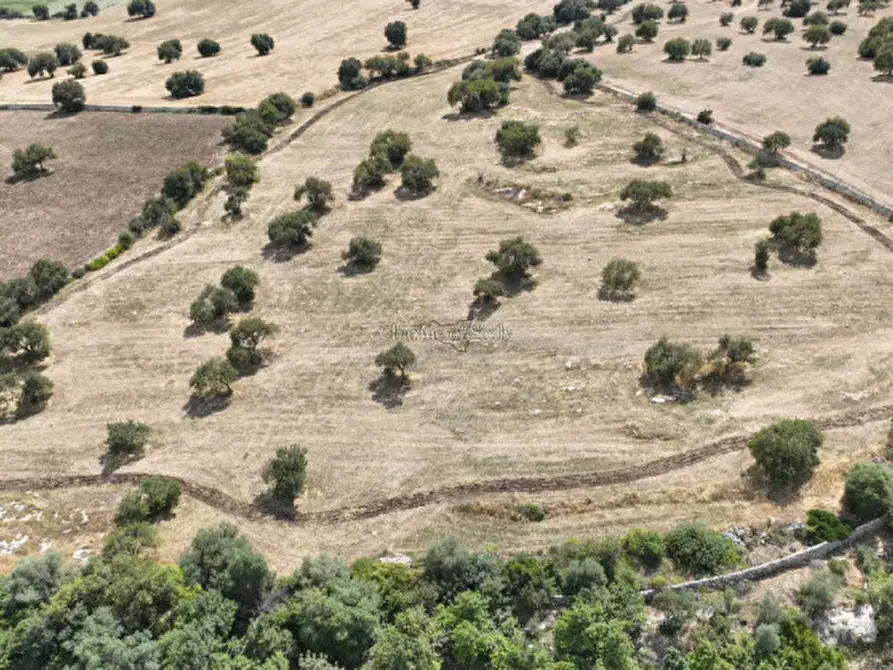 Immagine 7 di Terreno in vendita  in Contrada scorrione a Modica