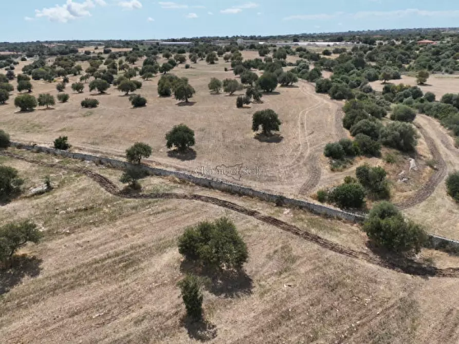 Immagine 9 di Terreno in vendita  in Contrada scorrione a Modica