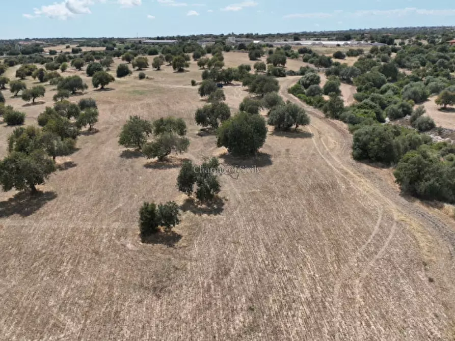 Immagine 10 di Terreno in vendita  in Contrada scorrione a Modica