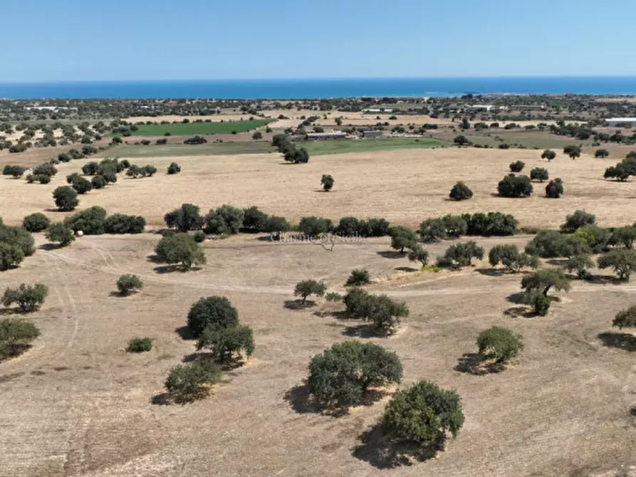 Immagine 11 di Terreno in vendita  in Contrada scorrione a Modica