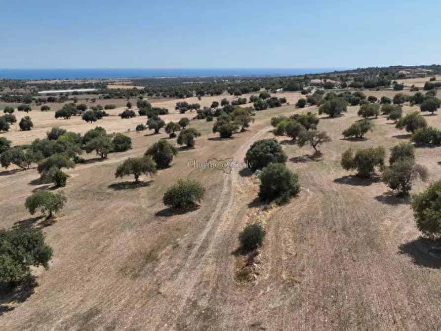 Immagine 12 di Terreno in vendita  in Contrada scorrione a Modica