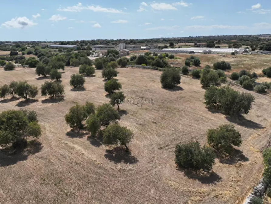 Immagine 14 di Terreno in vendita  in Contrada scorrione a Modica