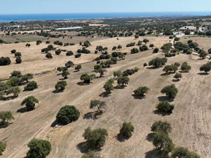 Immagine 15 di Terreno in vendita  in Contrada scorrione a Modica