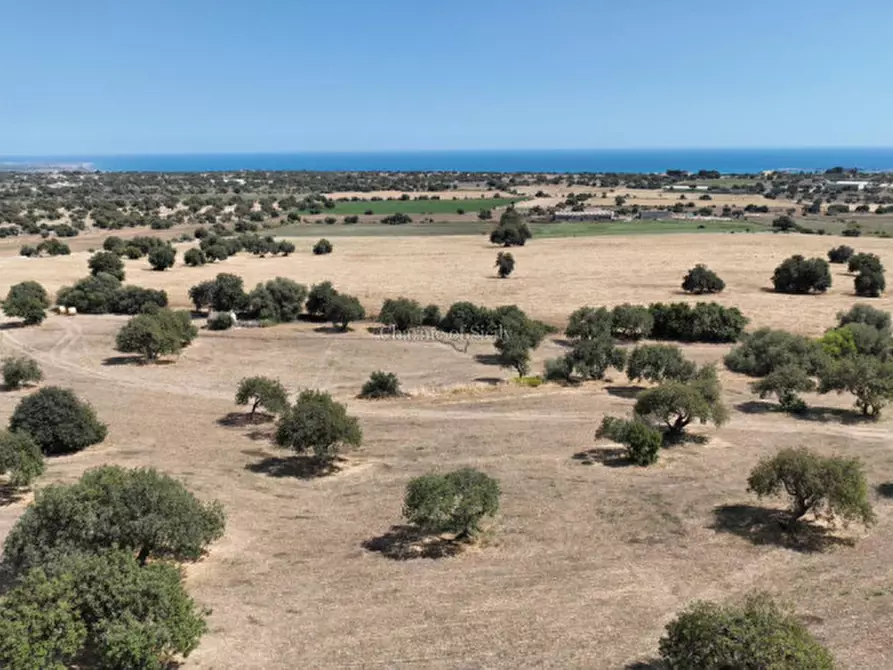 Immagine 16 di Terreno in vendita  in Contrada scorrione a Modica