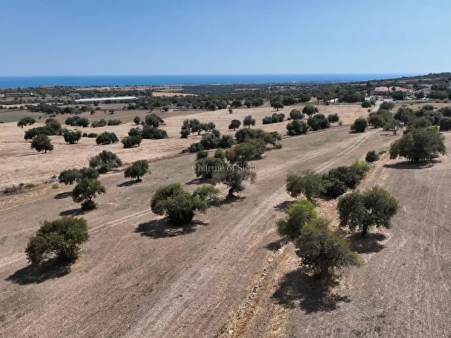 Immagine 17 di Terreno in vendita  in Contrada scorrione a Modica